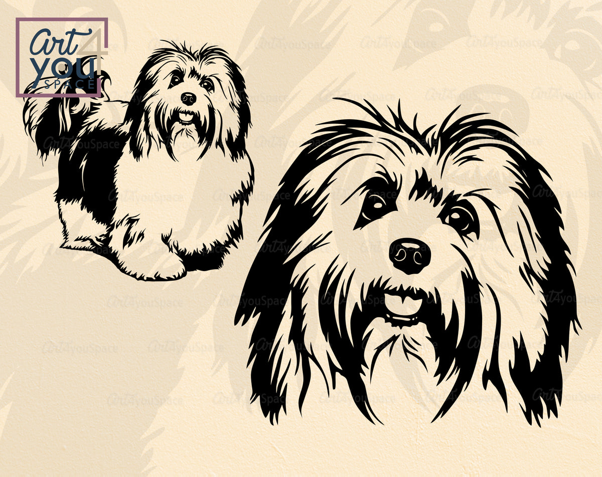 Fuzzy 2024 farm havanese