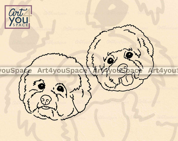 Bichon Frise Outline SVG