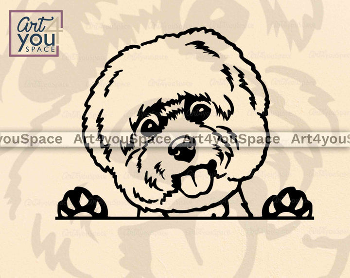 Bichon Frise peeking pose svg