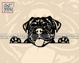 black pug peeking svg