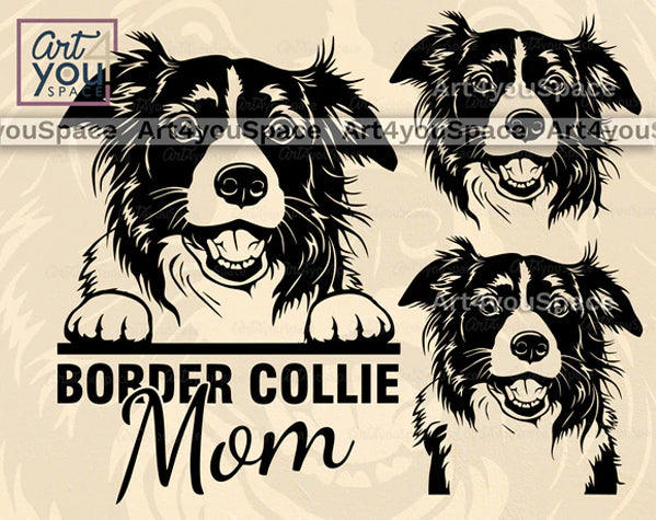 border collie mom svg