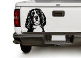 spaniel_png