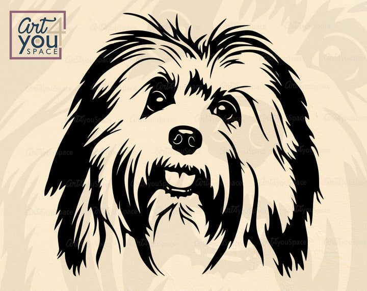 Havanese PNG