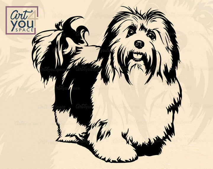 Havanese Art