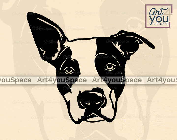 American Staffordshire Terrier PNG