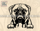 Bullmastiff PNG