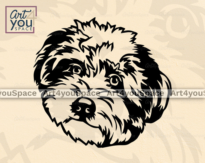 Aussiedoodle Vector