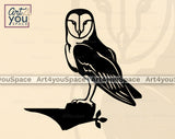 Barn Owl PNG