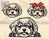 Bichon Frise SVG