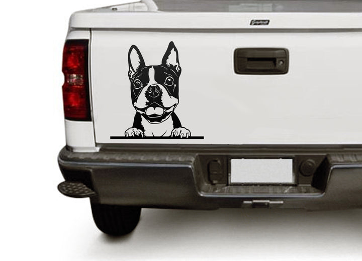 Boston Terrier Vector