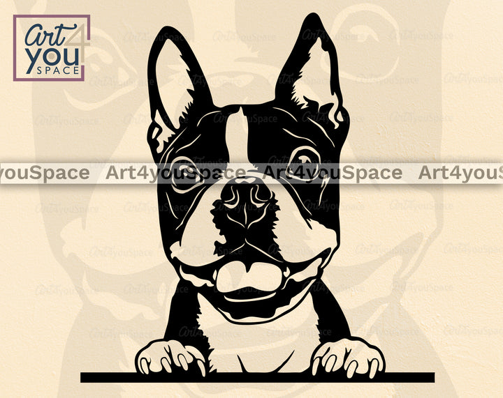 Boston Terrier Art