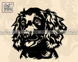 Boykin Spaniel Vector