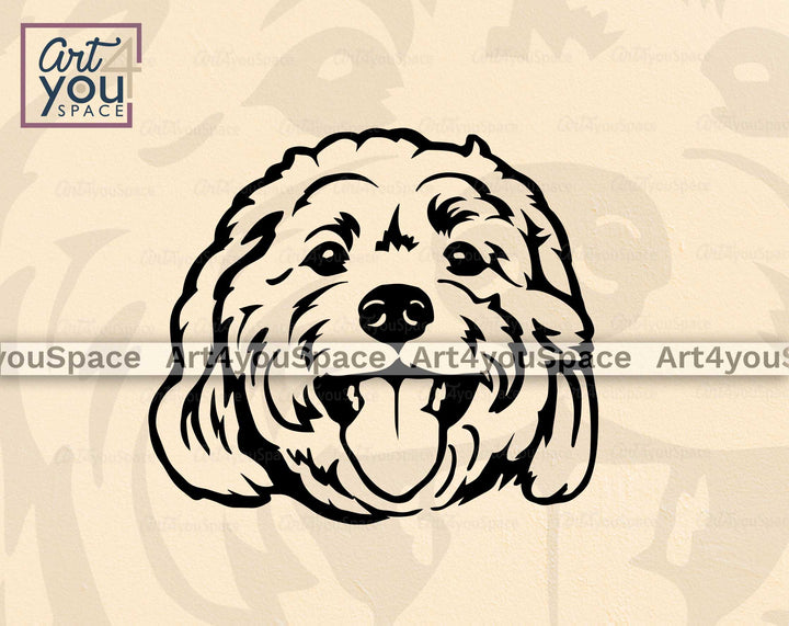 Cavachon portrait vector