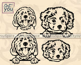 Cavachon puppies svg files