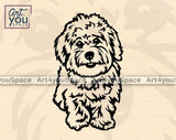 Coton de Tulear vector