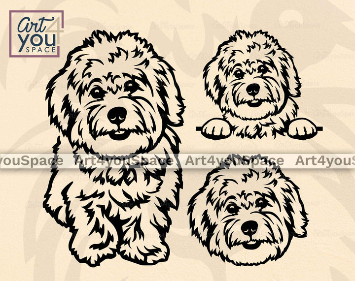 Coton de Tulear SVG File