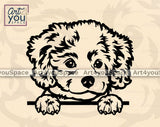 cute Cavachon puppy svg file