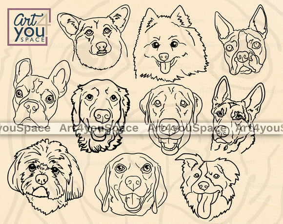 dog face drawings
