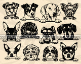 Dog Breed Art