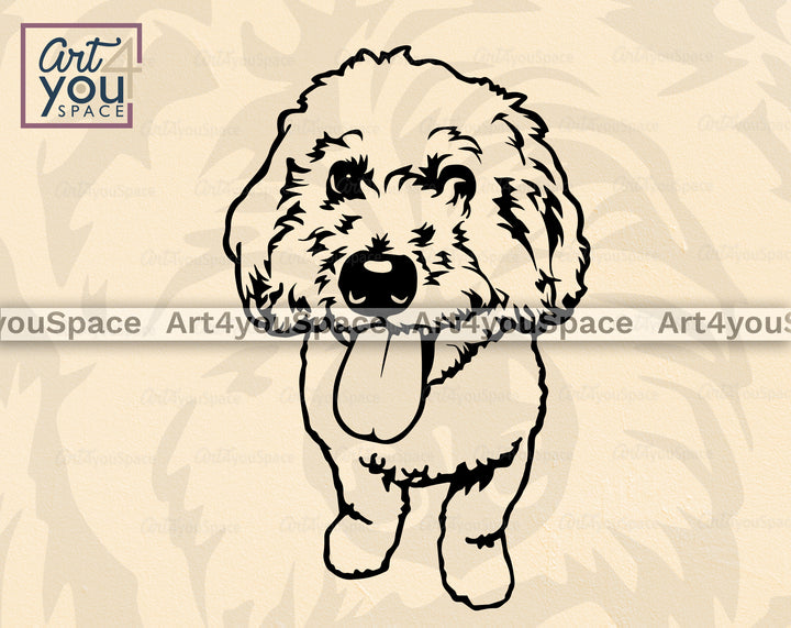 Golden Doodle Vector