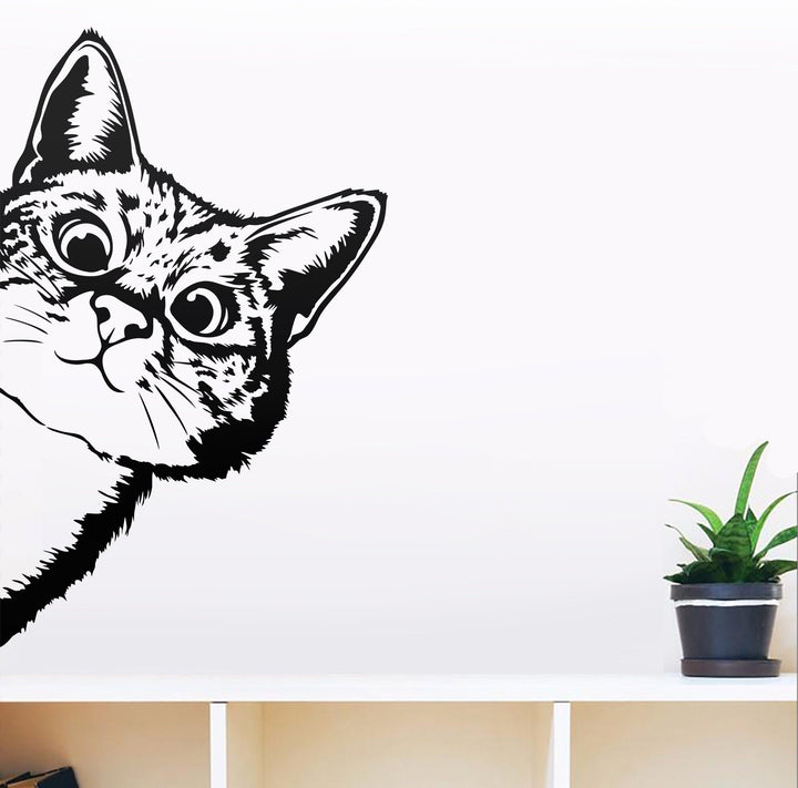 Cute Peeking Cat Vector