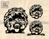 Black Labradoodle SVG