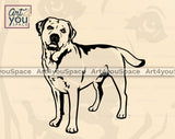 Labrador Retriever Clipart