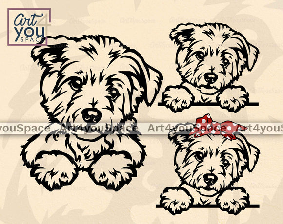 Maltese puppy svg files