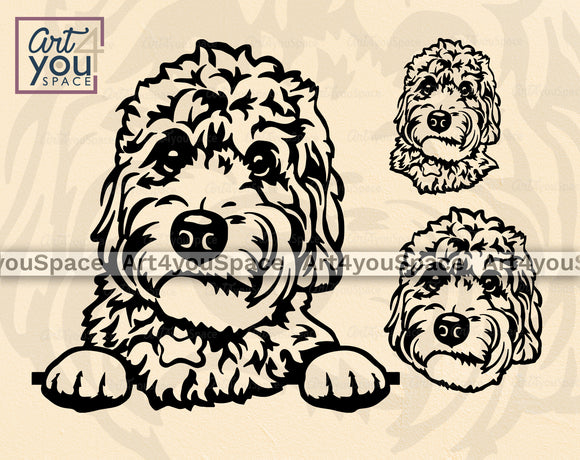 mini Golden doodle svg