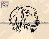 saluki dog vector clipart