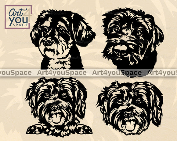 Schnoodle SVG