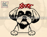 Shih Tzu Vector