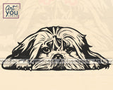 Shih Tzu PNG