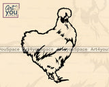 Silkie Chicken  Vector