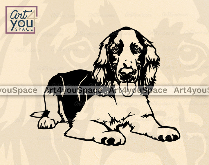 Welsh Springer Spaniel PNG